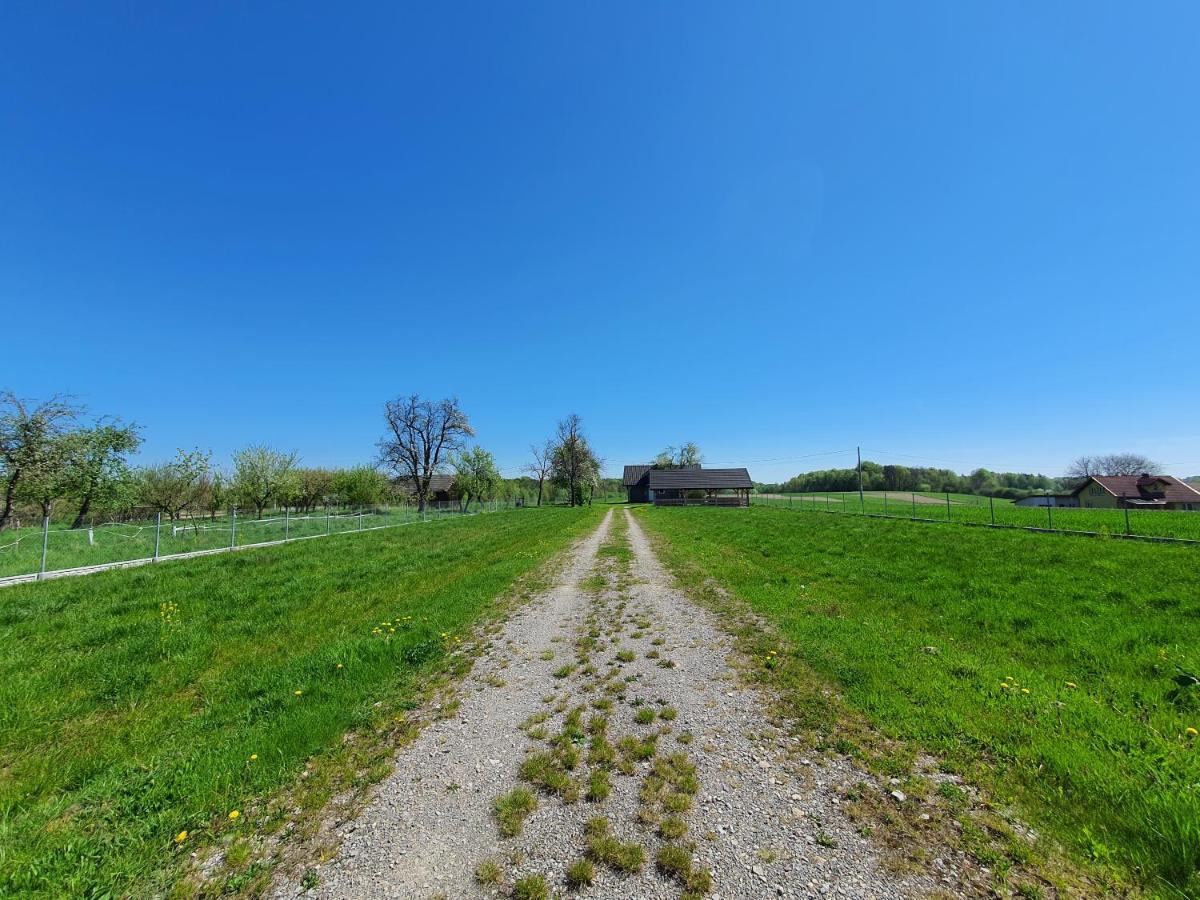 Zielone Zagrody - Stafieje Holiday home *
